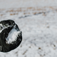 Unsplash